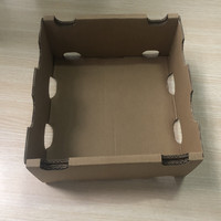 Boîtes d'emballage de fruits ondulés en relief avec doublure en éponge pour le stockage de raisins de tomate de myrtille de mangue de cerise de pomme