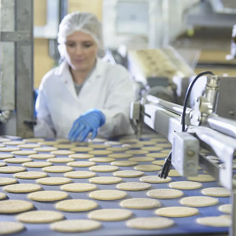 Four à tunnel de ligne de processus de biscuit de prix inférieur double remplissages four rotatif de biscuit de deux couleurs pour l'usine utilisant