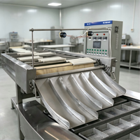 Kosteneffectieve fabrikant van machines voor de productie van instant noodles, leverancier van een voedselverwerkingslijn voor instant noodles