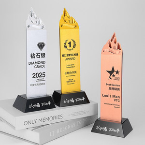 Trofeo in Alluminio Aeronautico Personalizzato per Premiazione Aziendale Annuale, Trasferimento Termico, Novità 2026, Eccezionale Riconoscimento Aziendale - Product Image 3