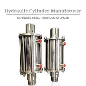 S304 Stainless Steel Hydraulic Cylinders For Lift And Raise And Lower Boat