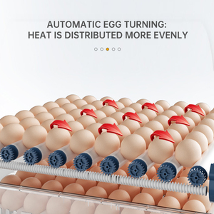 Incubateur à œufs en <span class=keywords><strong>vente</strong></span> chaude, incubateur entièrement automatique, machine à éclosion <span class=keywords><strong>de</strong></span> 98 œufs avec double alimentation - Product Image 4