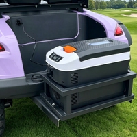 Carrito de Golf de Lujo para 2 Pasajeros con Batería de Litio, Homologado para Calle, con Certificación CE DOT y Refrigerador para Golf y Recorridos Turísticos