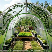 Cerceaux de tunnel de piquet en acier enduit de PE écologique de Chine pour jardin intérieur Offre Spéciale serres hydroponiques Support de plantes pour la maison