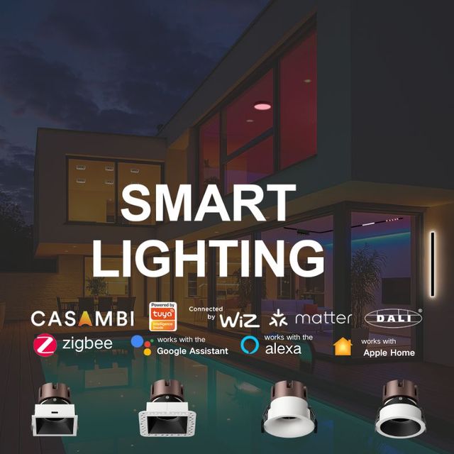 Dmx Knx Zigbee Dali Smart House Led Downlight RGB Tunable 0-10v Triac Casambi Dimmable Alexa Google Homekit Control Downlight