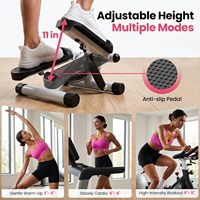 Mini stepper pour l'exercice à domicile, appareil d'exercice stepper