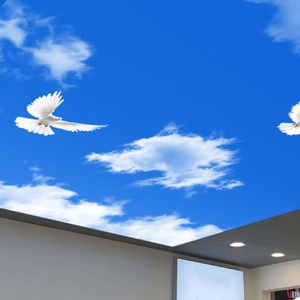 Fábrica Popular Hermosa Pintura <span class=keywords><strong>de</strong></span> <span class=keywords><strong>pared</strong></span> Tela <span class=keywords><strong>de</strong></span> <span class=keywords><strong>pared</strong></span> techo <span class=keywords><strong>de</strong></span> <span class=keywords><strong>tragaluz</strong></span> natural artificial - Product Image 1