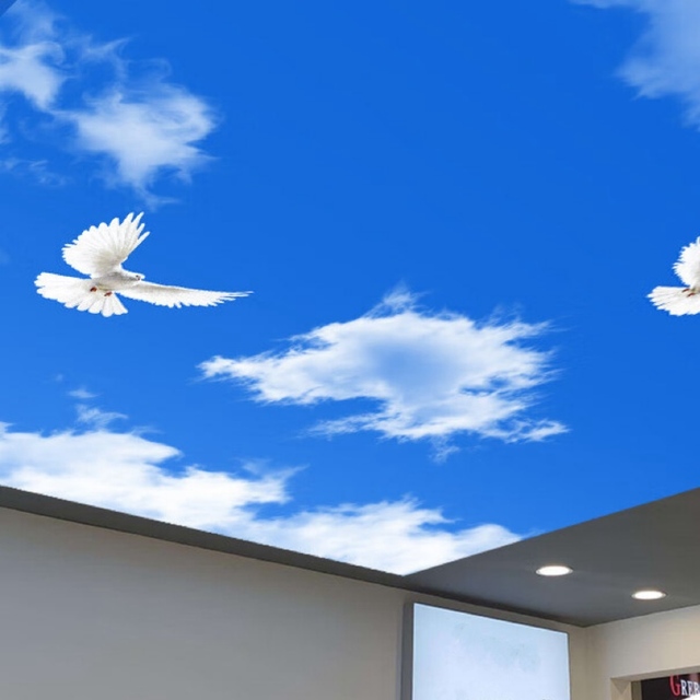 Factory Popular Beautiful Wall Painting Wall Cloth Artificial Natural Skylight Ceiling