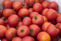 Commerciële Automatische Fruit-En Groenteborstel En Wasverwerkingsproductielijn