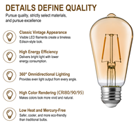 Ampoule LED à filament de verre Super Eco Décorative, CRI 90, E26 E27, 2W, ST21 ST64, pour l'éclairage domestique, hôtelier et commercial