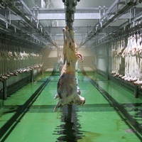 Machine de transformation de la viande de mouton, usine d'abattage halal d'agneau, pompe, moteur, roulement, noyau, haute productivité, acier inoxydable