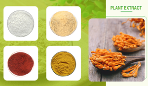 Heißer Verkauf Wasserlösliches 50% Chlorogensäure Grüner Kaffee-Bohnen-Extrakt-Pulver - Product Image 3