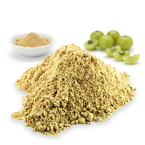 Polvo de Fruta de Amla 100% Puro y Herbal para Cabello Fino y Rizado, de la India - Product Image 1
