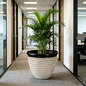 Pots de fleurs ronds en plastique simples et durables <span class=keywords><strong>pour</strong></span> <span class=keywords><strong>plantes</strong></span> <span class=keywords><strong>vertes</strong></span> en pot, anti-chute, <span class=keywords><strong>pour</strong></span> salon et <span class=keywords><strong>balcon</strong></span> - Product Image 2