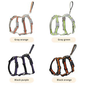 360. Guinzaglio Retrattile Anti-Groviglio per Cani con Fibra di Aramide, Nastro in Poliestere Resistente, Riflettente e Regolabile - Product Image 3