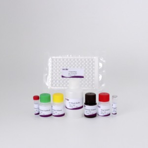 CSFV Erns Protein Antibody Diagnostic <strong>Kit</strong> for Swine Fever Monitoring &amp; Vaccine Efficacy Evaluation - Product Image 2