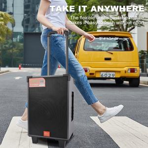 Sing-e ZQS912S Combo de teclado de Bajo acústico de 12 pulgadas Fábrica al por mayor Altavoz de DJ de escenario profesional personalizado - Product Image 2