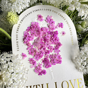 Incarnazione naturale Nail Dry Flower colorati fiori secchi decorazioni per Nail Art - Product Image 2