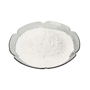 Favorable Price Featured Product For American Market Pharmaceutical Grade Caco3 Calcium Carbonate Powder