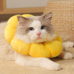 Eliza Cute Circle <span class=keywords><strong>Cat</strong></span> <span class=keywords><strong>Collar</strong></span> para mascotas, cubierta de cabeza antiarañazos esterilizada, estilo moderno para perros, pájaros, reptiles - Product Image 3