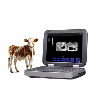 Neuankömmling Tierarzt Ultraschall geräte Veterinär Ultraschall gerät Veterinär Ultraschall Scanner