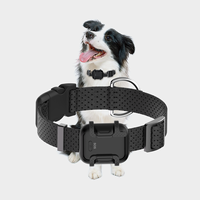 Nuevo Rastreador GPS para Mascotas 4G de Lujo, Reflectante, con Sistema de Seguridad Antirrobo, Resistente al Agua IP67, con Tarjeta SIM, SMS, Monitor de Actividad Física