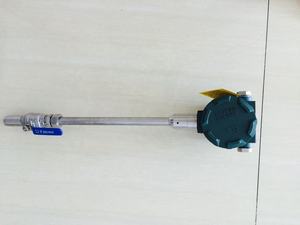 220Vおよび24V二重電源式熱式ガス質量流量計（濃縮二酸化炭素用） - Product Image 2