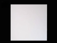 Plaque de cuisson en nitrure de bore RA, haute pureté (>98,5%), résistante aux hautes températures 2100-2400°C, utilisée pour la soudure et la découpe céramiques
