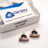 Thread Insert Indexable Turning Tool 11ER AG55 11IRAG60 16ERISO 16IRNPT 16ER 11W 16IR BSPT 16IRAG55 Carbide Threading Insert
