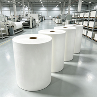 Papier en rouleau de pâte de bambou vierge blanchie, haute résistance, grammage personnalisé, pour la fabrication de mouchoirs - Vente en gros usine