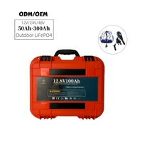 Batterie de stockage solaire LiFePO4 rechargeable personnalisée 12V-48V 50-300Ah avec sortie AC 110V/220V, 6000 cycles, pour camping-car, marine ou voiturette de golf