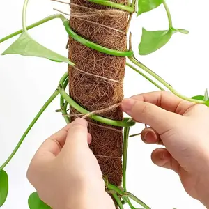2 Stück Pflanzen zubehör Coco Coir Pole Stake Kokos faser Plant Support Rod Moss Pole für Kletter pflanzen
