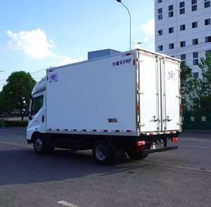 Camion frigorifique de la célèbre marque chinoise de véhicules électriques BYD pour le transport d'aliments frais, congelés et de médicaments/vaccins - Product Image 6