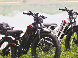 Eahora Romeo Pro tùy chỉnh động cơ điện lai Xe đạp điện cho khí hậu mưa IP67 không thấm nước 48V 60Ah Pin Chắn Bùn bao gồm - Product Image 6