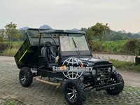 UTV électrique classique de tourisme à transmission par chaîne, batterie au plomb-acide, vitesse maximale 65 km/h, 2/4/6 places, CE