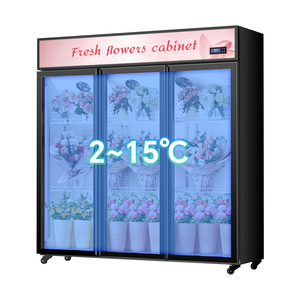 Frigorifero Espositore No Frost per Fiori a 2/3 Porte Trasparenti per Negozi di Fioristi - Armadio Commerciale Senza Drenaggio - Product Image 3