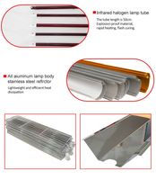 Lampes infrarouges automatiques 2600W avec compatibilité AC 110V/220-240V, modèle F2X-2600W pour un séchage efficace de la peinture par ondes courtes
