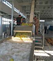Ligne de traitement industrielle compétitive de probiotiques pour l'usine de fermentation de jus de fruits et légumes