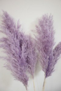 Centro de mesa de flores de boda inspirado en el estilo Ins Phragmites Communis Natural Small Reed Pampas Naturel Fluffy Dry Día de <span class=keywords><strong>la</strong></span> madre - Product Image 3