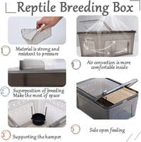 Boîte ventilée empilable en plastique pour reptiles Petite boîte d'élevage pour tarentules crabes ermites