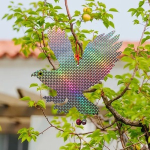 Gli uccelli controllano l'aquila per spaventare gli uccelli, dispositivi per appendere i deterrenti degli uccelli - Product Image 4