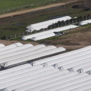 Bolsas de Almacenamiento de Granos <span class=keywords><strong>Jumbo</strong></span> de 10 pies y 12 pies Directamente de Fábrica, Bolsa de Silo, Bolsa de Granos, Bolsa de Plástico para Ensilaje, Bolsa de Almacenamiento Agrícola - Product Image 2