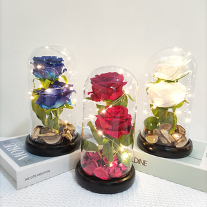 Rosas artificiales en cúpula de cristal con luz Led, flores de seda decorativas para el hogar, regalo festivo, rosas artificiales populares, 2 unidades - Product Image 2