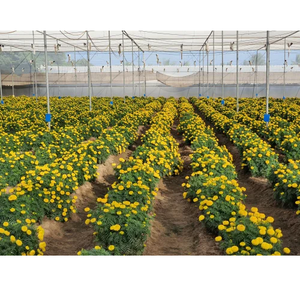 Serre de jardin verte de haute qualité, durable, avec filet d'ombrage vert résistant aux UV pour légumes, fruits et fleurs - Product Image 2