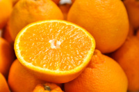Japanse groothandel in zoete, verse sinaasappels en citrusvruchten voor restaurants
