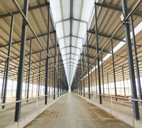 Bâtiment agricole préfabriqué en acier léger, structure personnalisée pour élevage de volailles, abri pour bétail, étable à vaches, étable à bovins, soudure rapide
