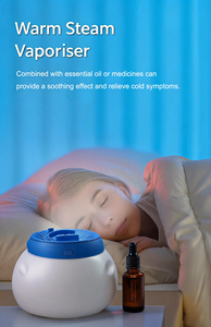 Protection de sécurité certifiée CE OEM pour le soulagement de la toux et de la congestion, fonction veilleuse LED V2, contrôle du volume de brume réglable 3L - Product Image 2
