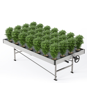 Sistema di panche mobili in metallo per serra <span class=keywords><strong>da</strong></span> <span class=keywords><strong>giardino</strong></span>, tavolo di coltivazione <span class=keywords><strong>con</strong></span> vassoi, design ecologico, facile <span class=keywords><strong>da</strong></span> montare, per uso agricolo - Product Image 3