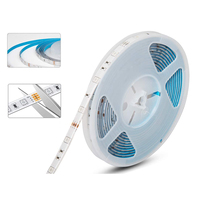 Bande LED intelligente USB IP65 SMD5050 RGB en cuivre 1m, thème jungle, effet phosphorescent, contrôle tactile à distance, films transparents ultra-fins