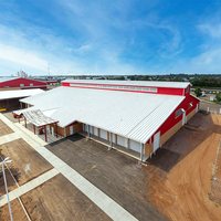 Entrepôt à grande portée en structure légère en acier, atelier métallique préfabriqué, bâtiment industriel pour le stockage et la production